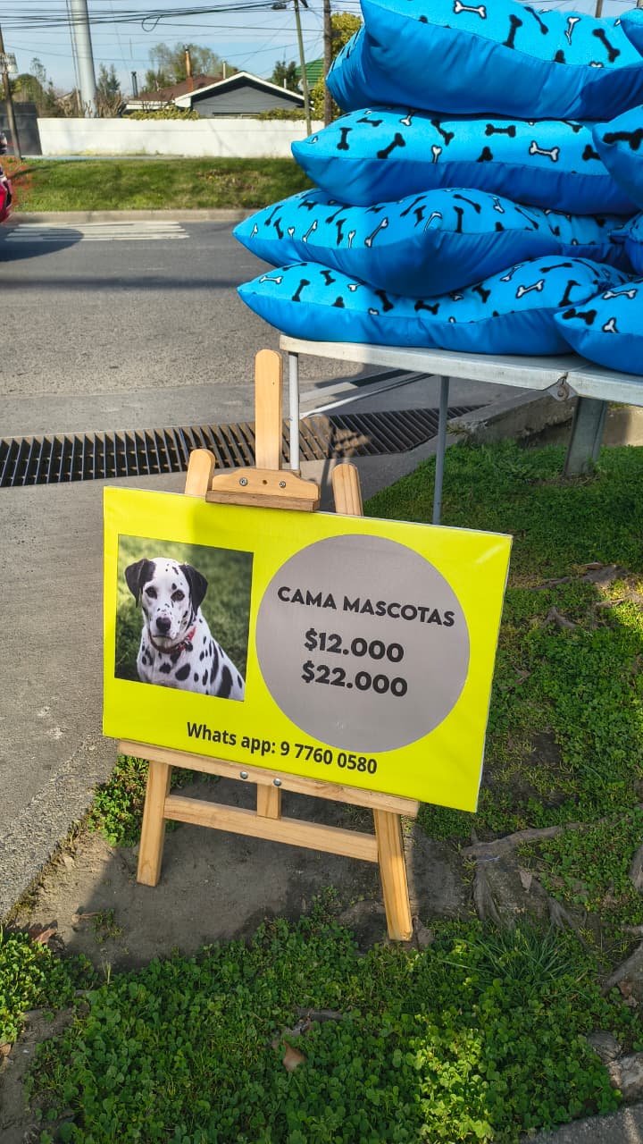 Imagen complementaria de Cuando las ganas de salir adelante se transforman en amor por las mascotas
