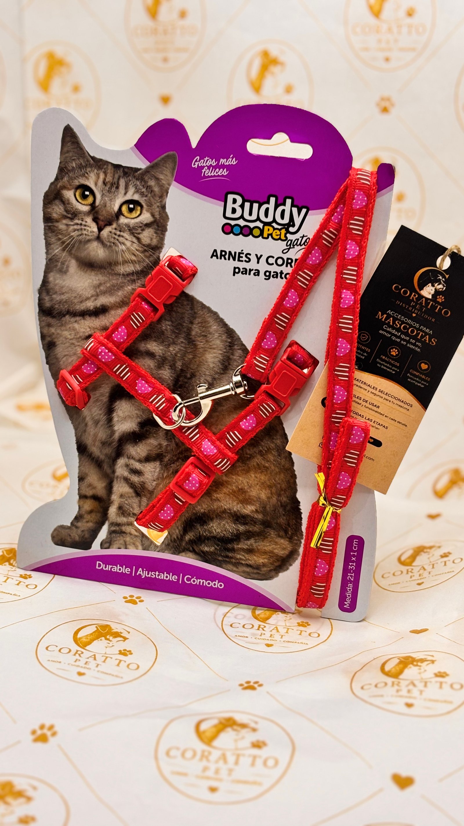 SET ARNES Y CORREA PARA GATOS