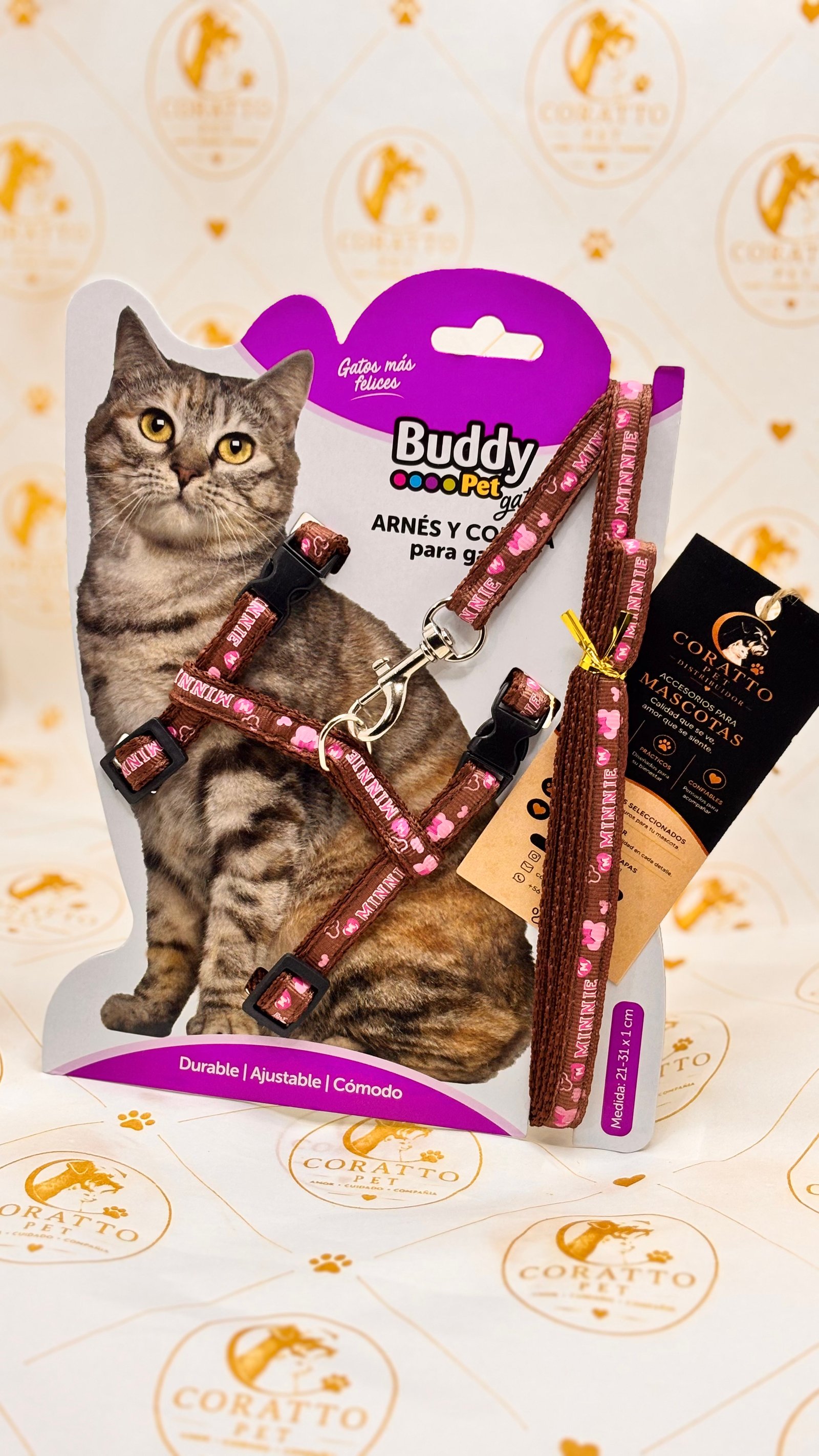 SET ARNES Y CORREA PARA GATOS