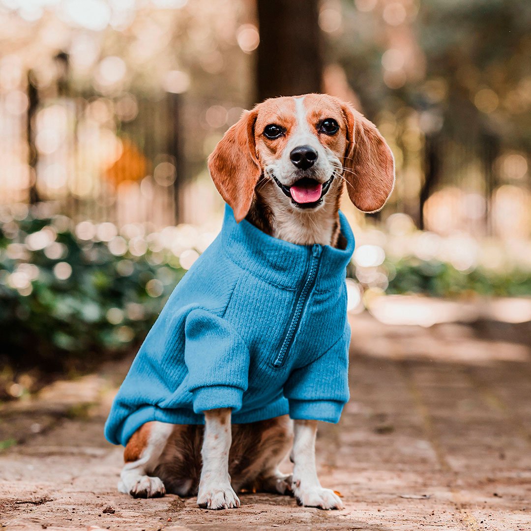 SWEATER PETLOUNGE