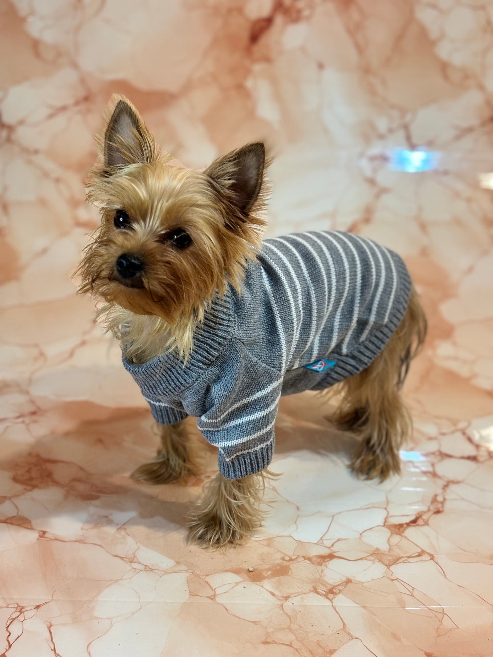 POLERÓN TEJIDO PARA PERRO