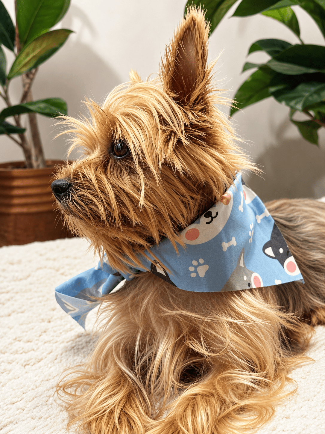 BANDANAS PARA MASCOTAS, MULTIPLES DISEÑOS