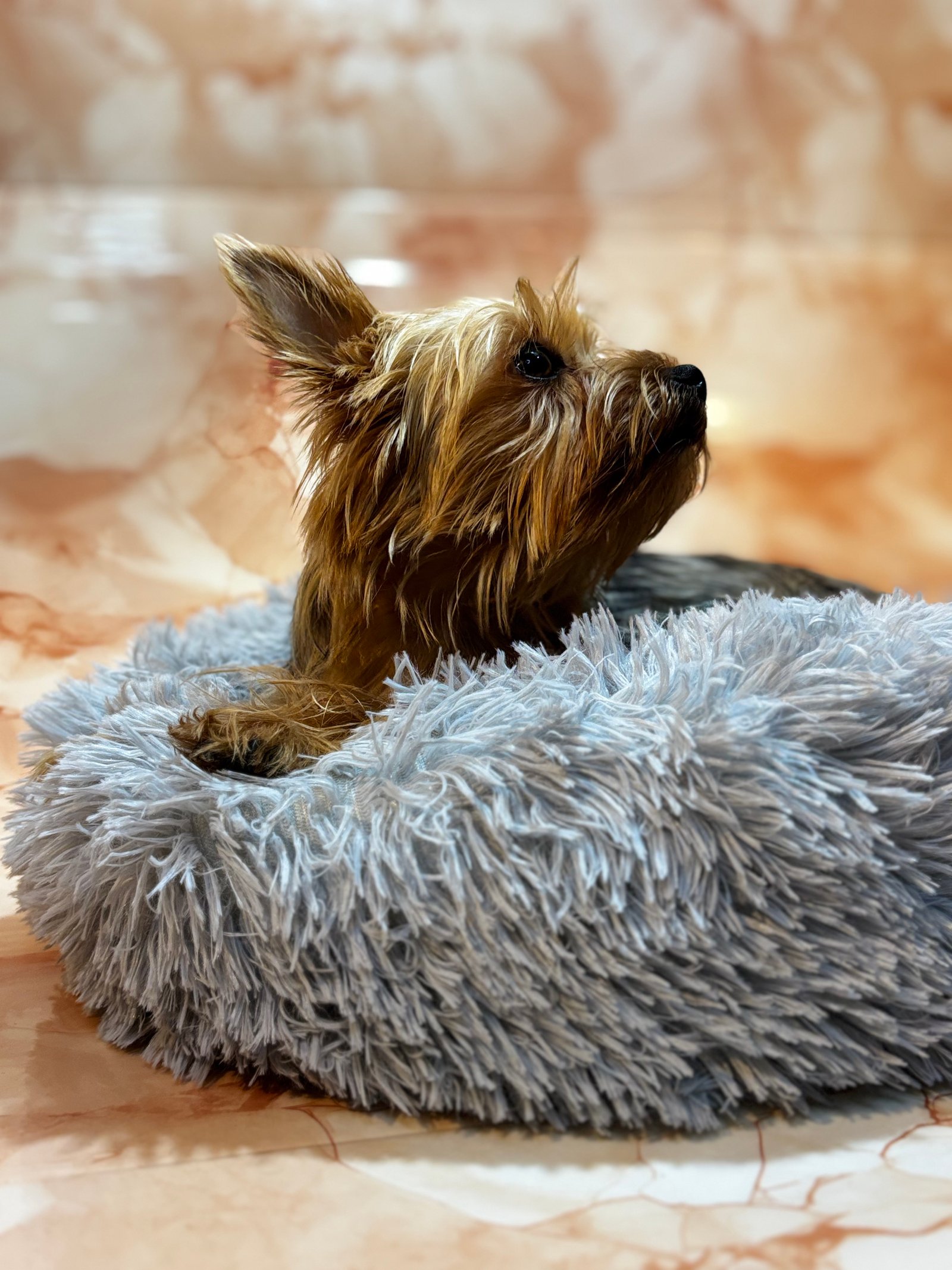 CAMA ANTIESTRÉS PELUDA COLOR GRIS 40 CM