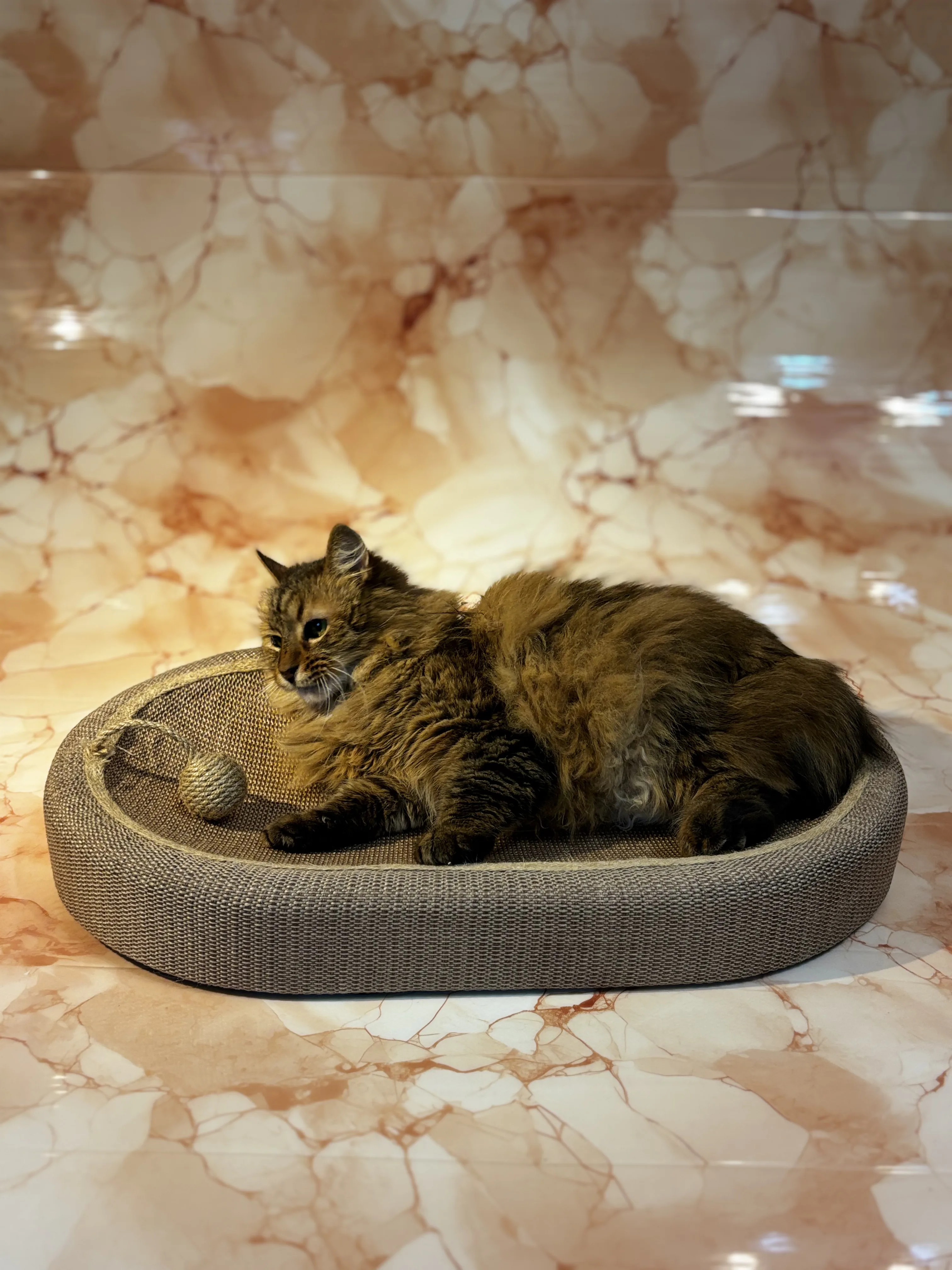 CAMA RASCADOR DE GATO