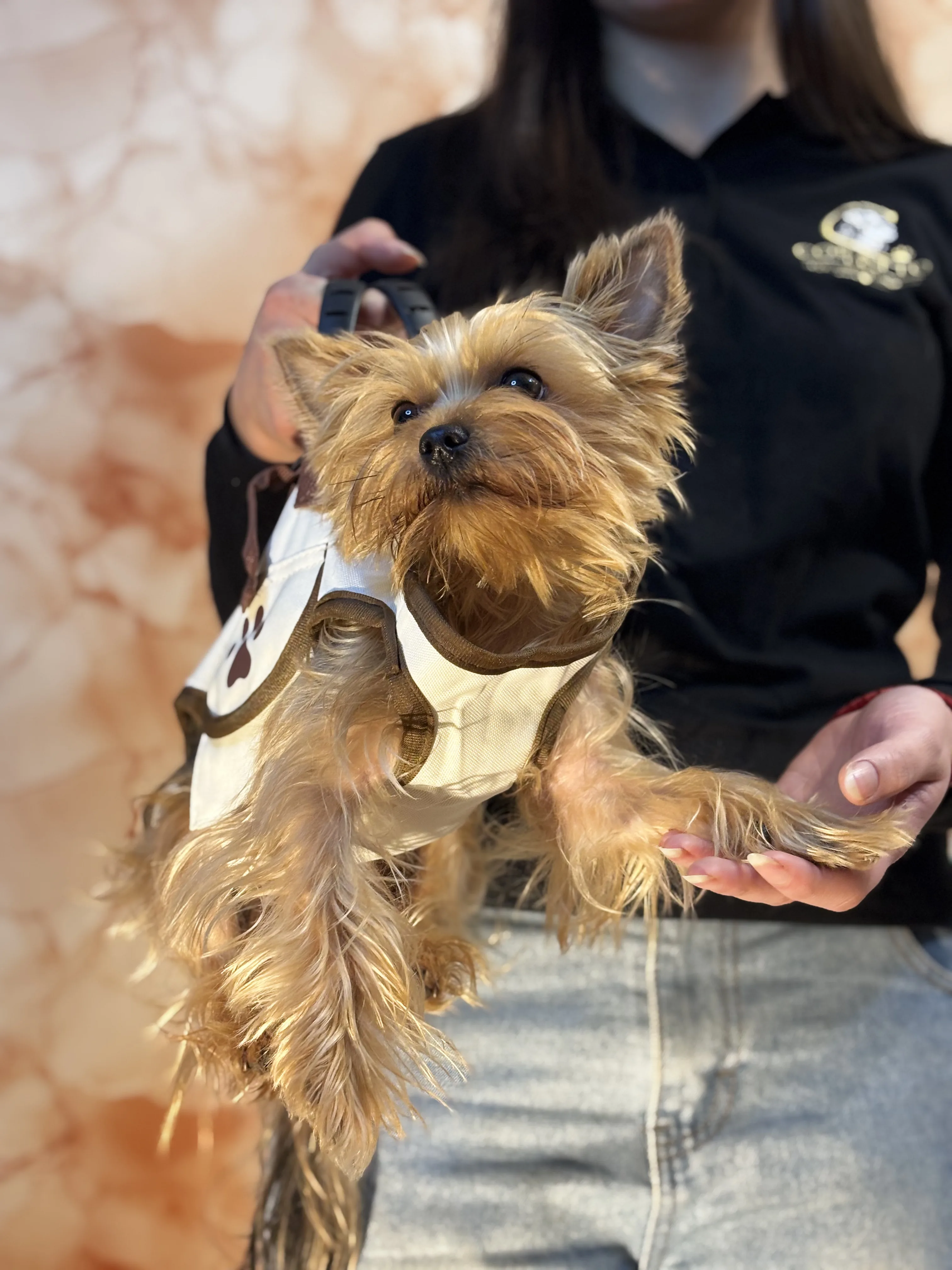 BOLSO TRANSPORTÍN PARA MASCOTAS