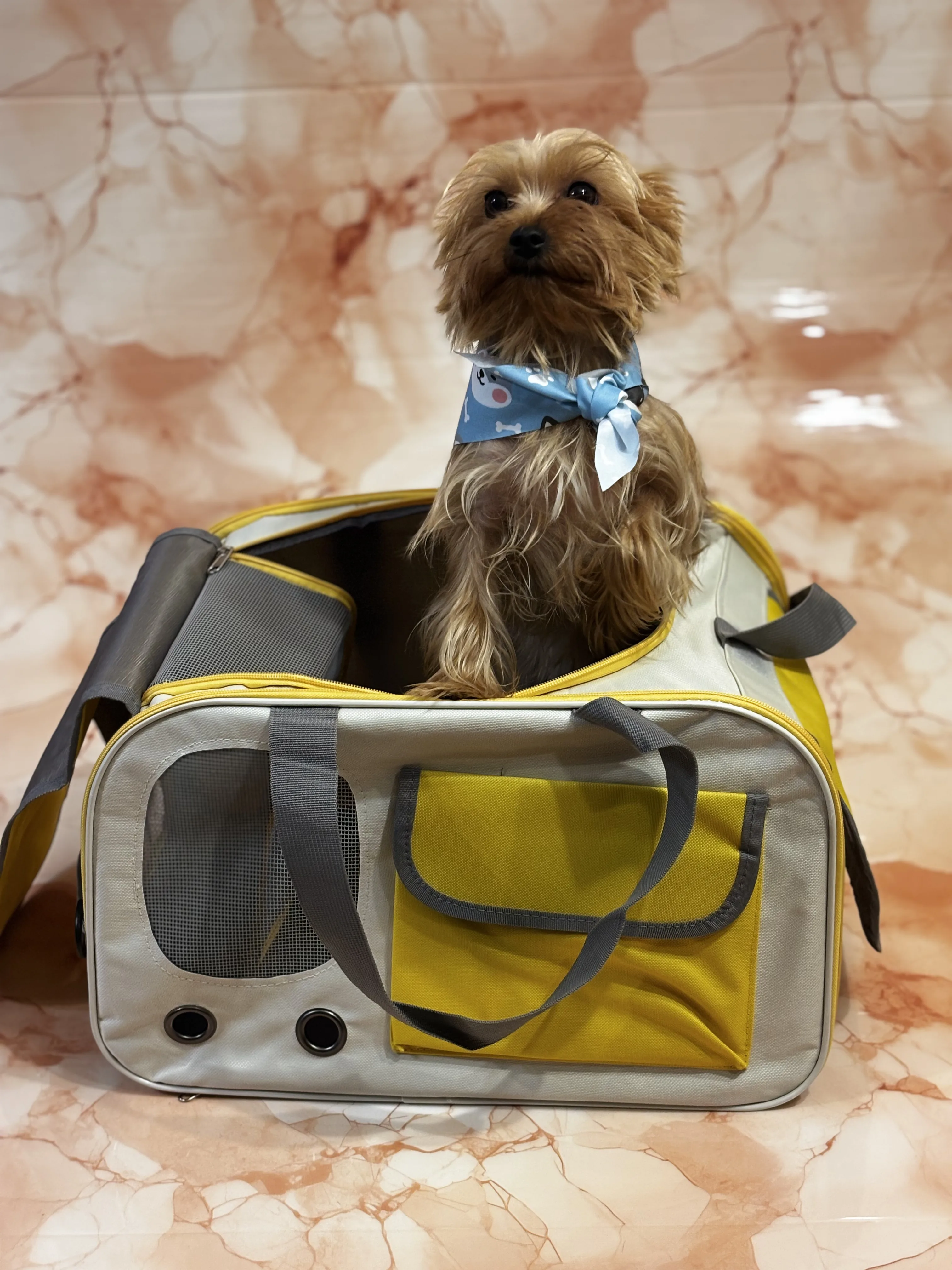 TRANSPORTIN PORTATIL PARA GATOS COLOR AMARILLO