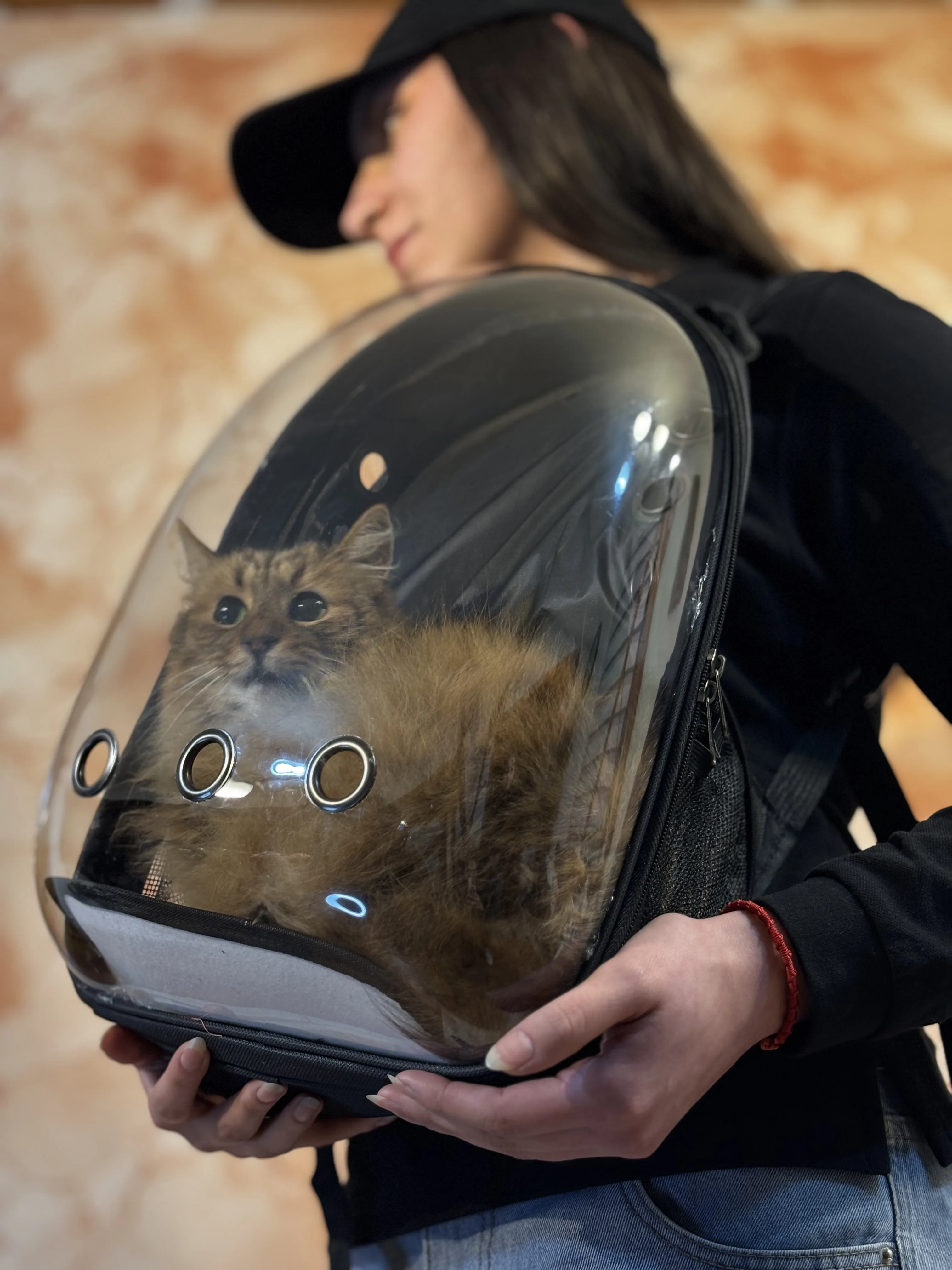MOCHILA TRANSPORTADORA PARA GATOS TRANSPARENTE