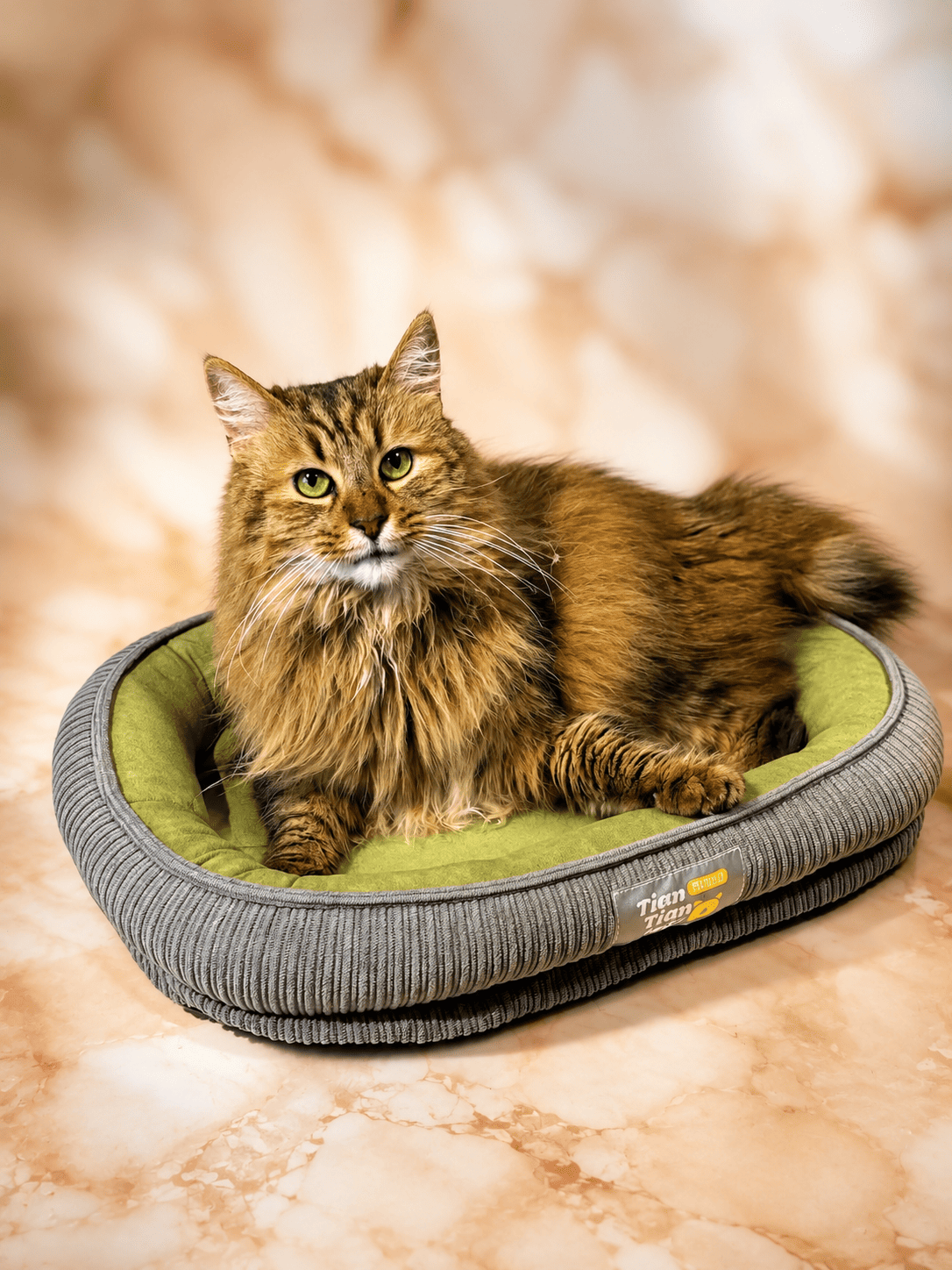 CAMA GRUESA PARA MASCOTA