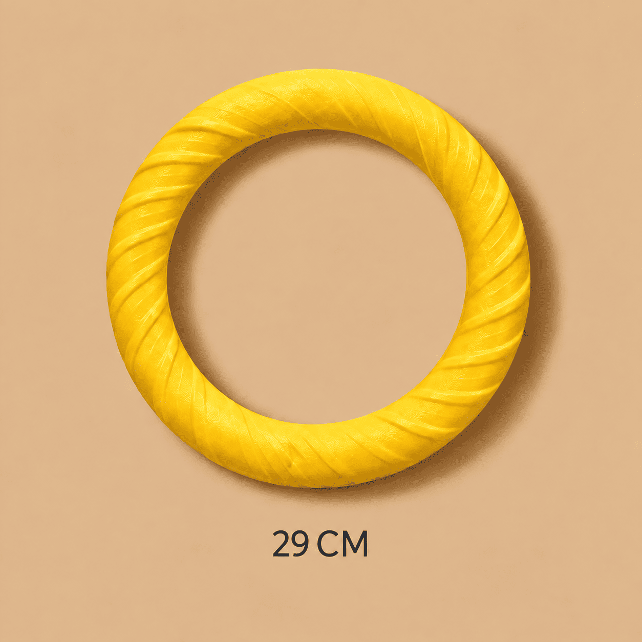 ANILLO DE ENTRENAMIENTO 29 cm